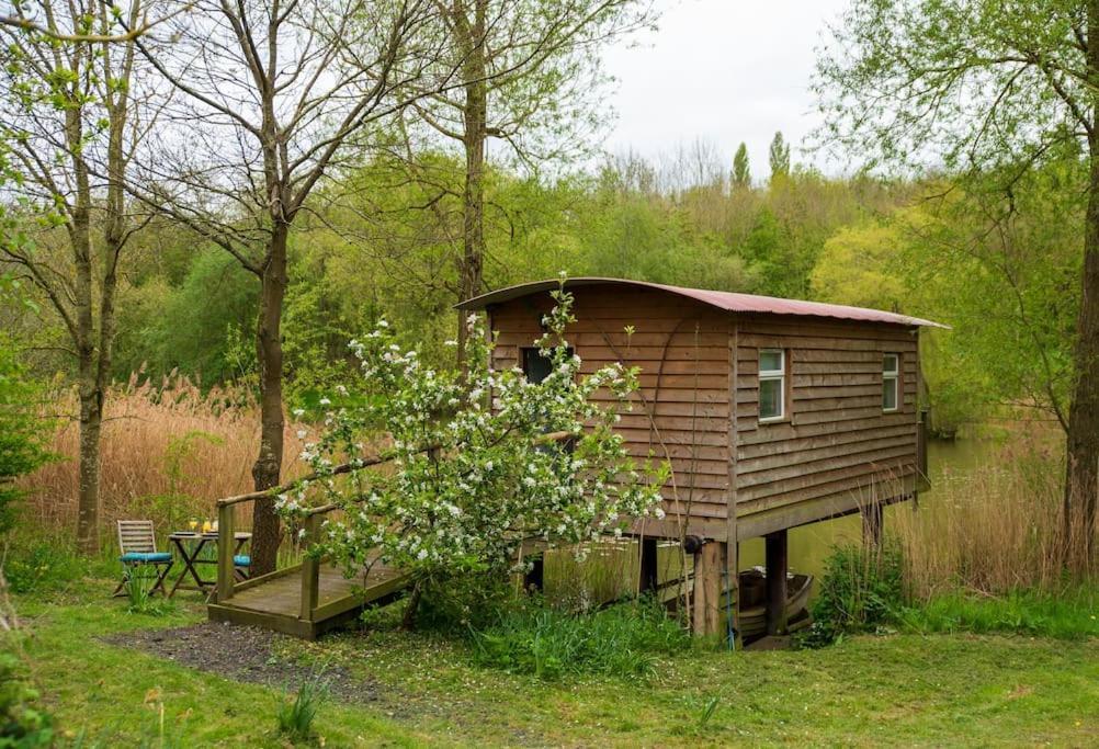 Lakeside Cabin On Stilts- 'Kingfisher' Rous Lench 外观 照片